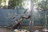 В Энгельсе продают парк динозавров